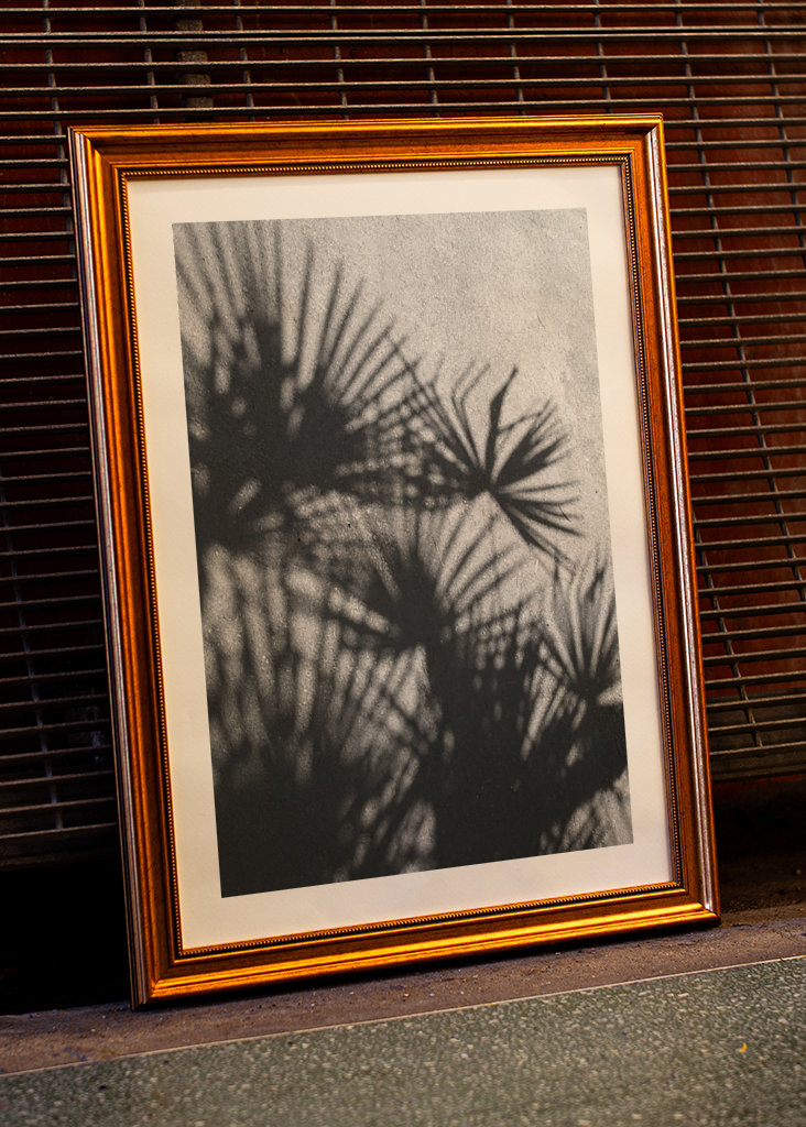 Shadow palm