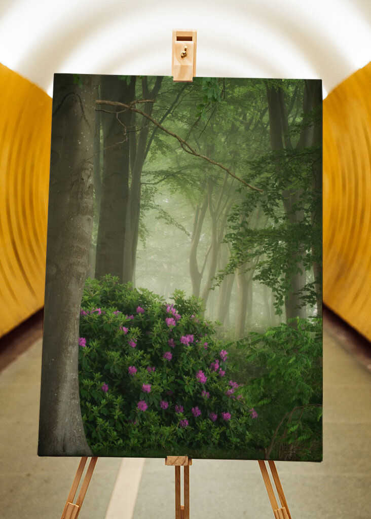 Rhododendrons in the mist