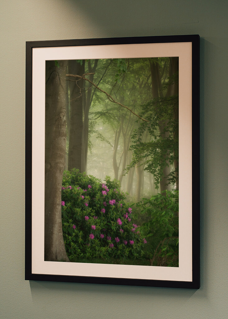 Rhododendrons in the mist