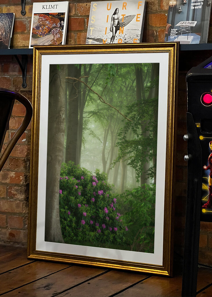 Rhododendrons in the mist