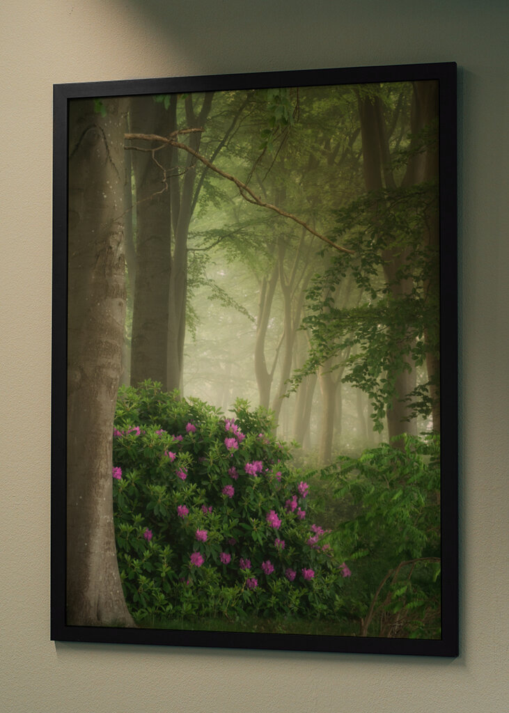 Rhododendrons in the mist