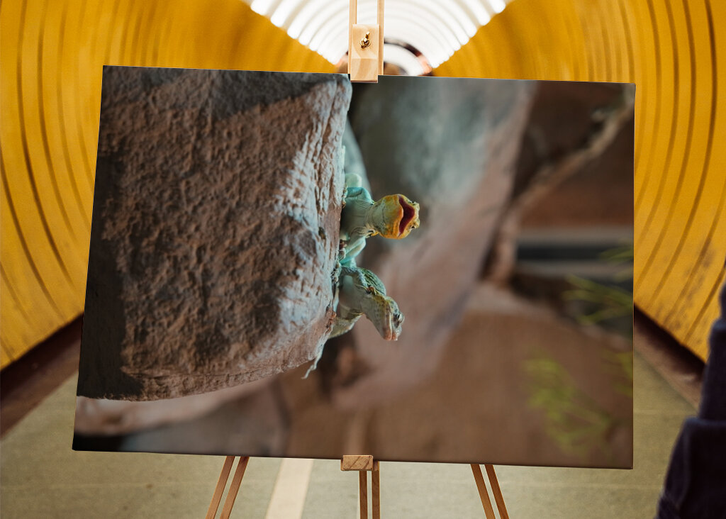 Ahol a természet visszamosolyog