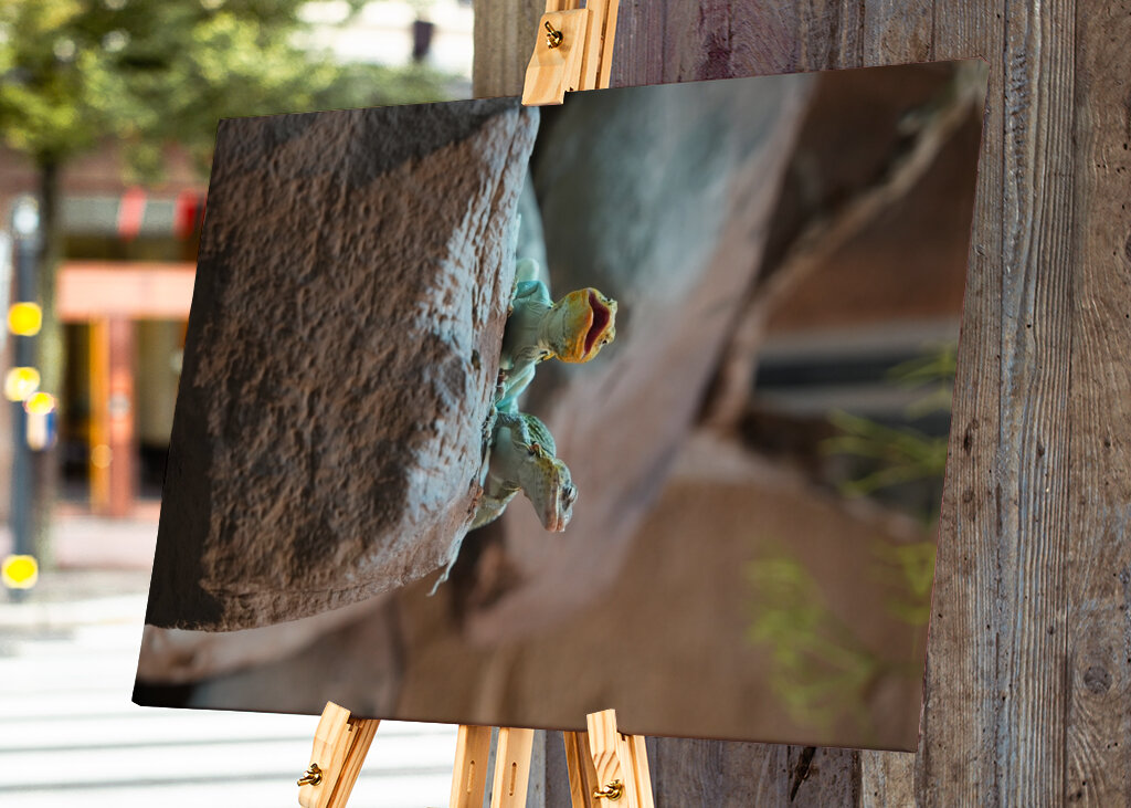 Ahol a természet visszamosolyog