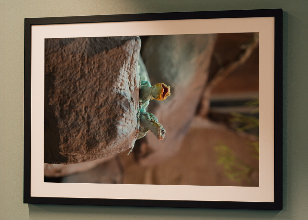 Ahol a természet visszamosolyog