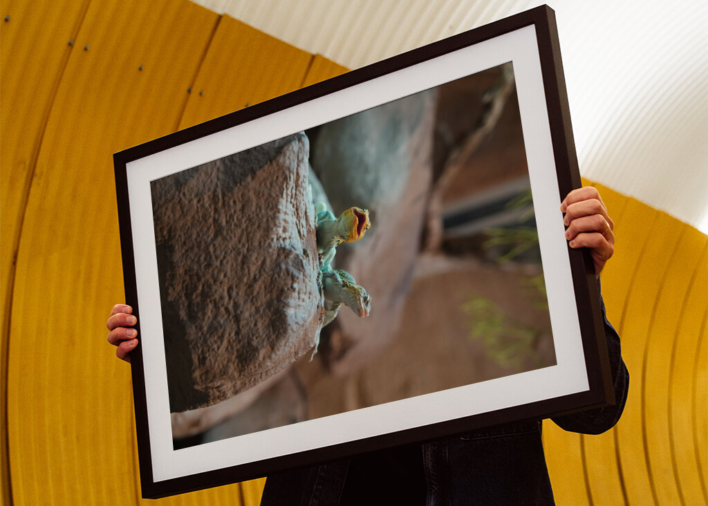 Ahol a természet visszamosolyog