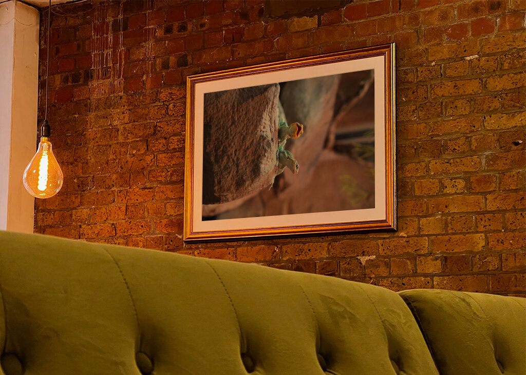 Ahol a természet visszamosolyog