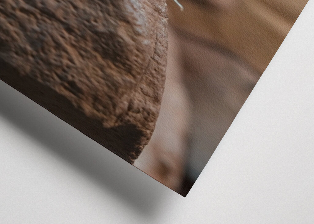 Ahol a természet visszamosolyog