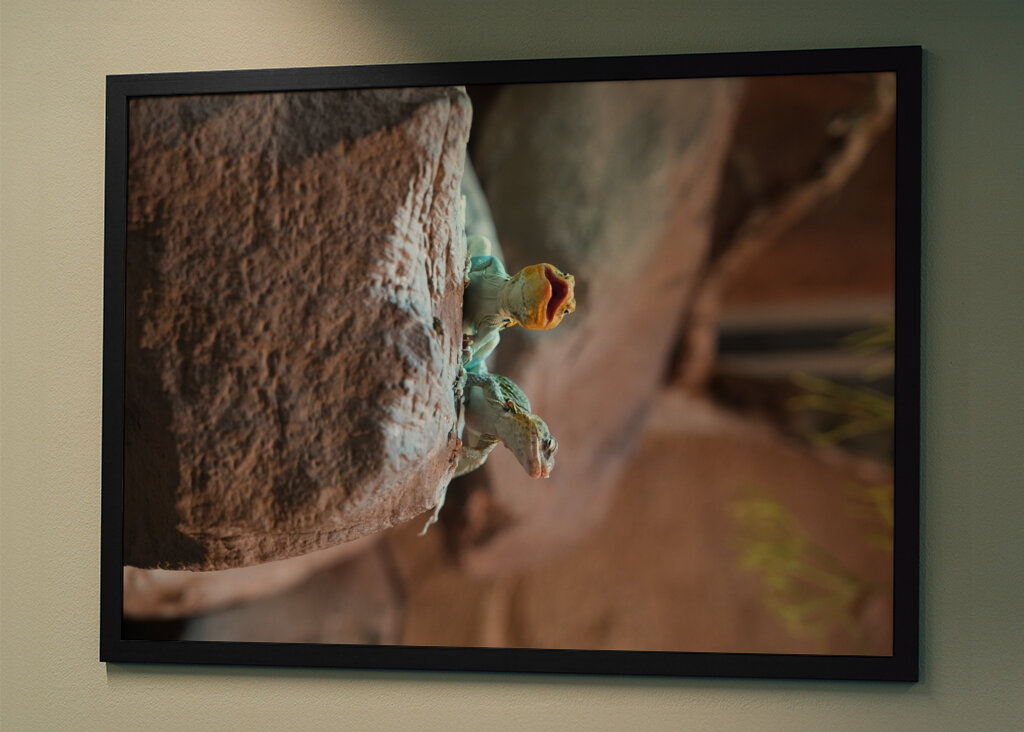 Ahol a természet visszamosolyog