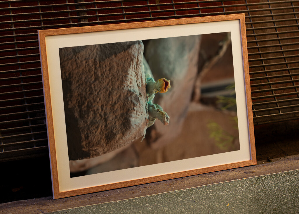 Ahol a természet visszamosolyog