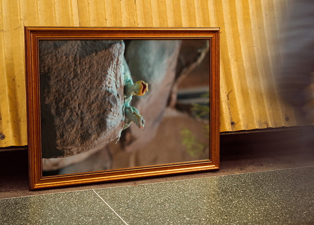 Ahol a természet visszamosolyog