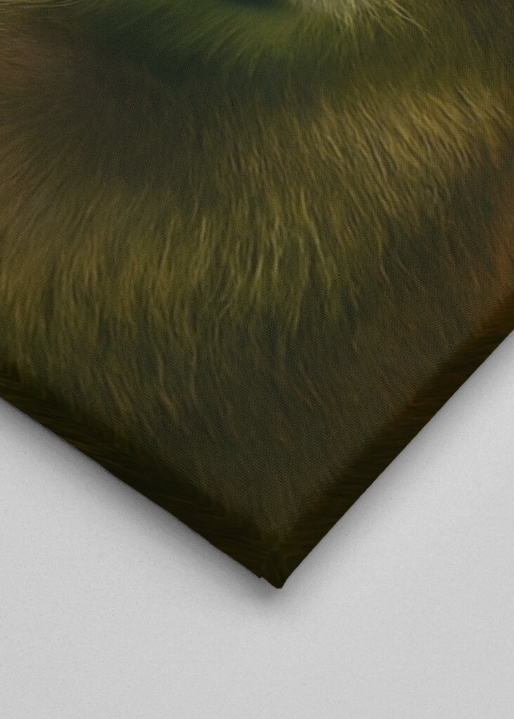 capybara X starry night