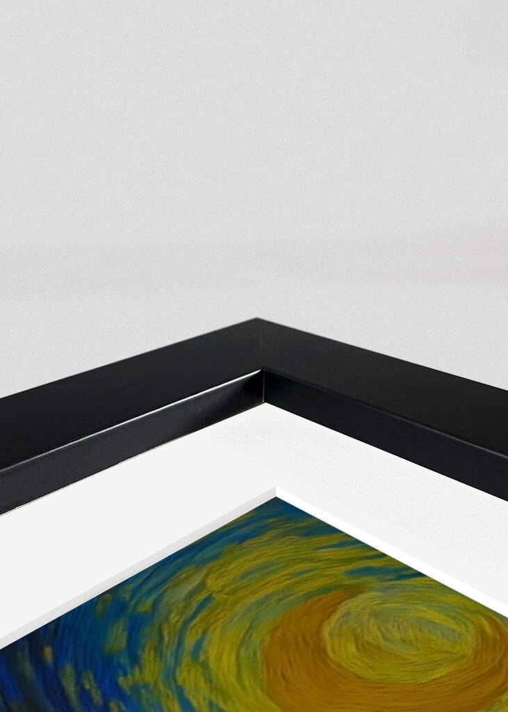 capybara X starry night