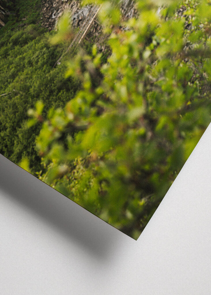 Svartifoss na obzoru