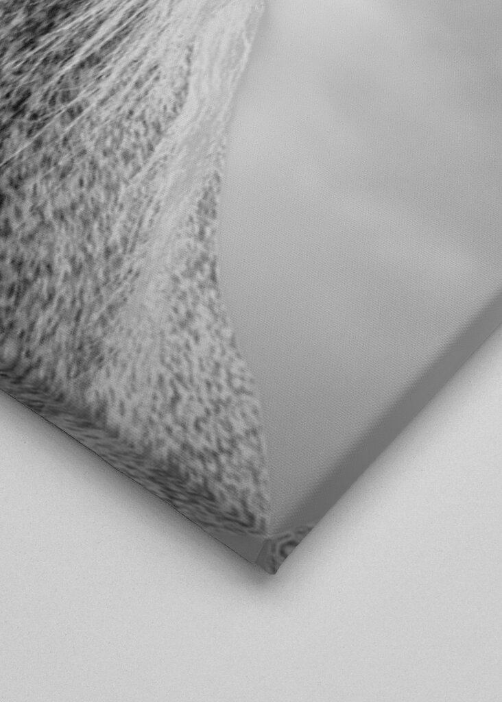 Tener la cabeza en las nubes