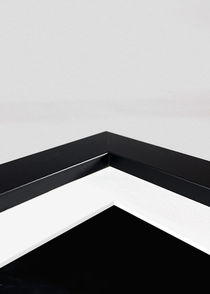 John Wick Ballerina Movie