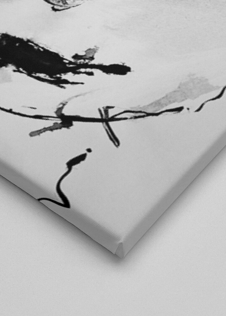 Mysterious Girl - Ink Art