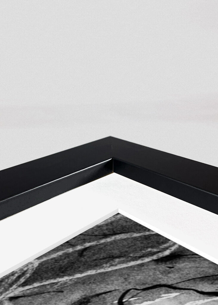 Mysterious Girl - Ink Art