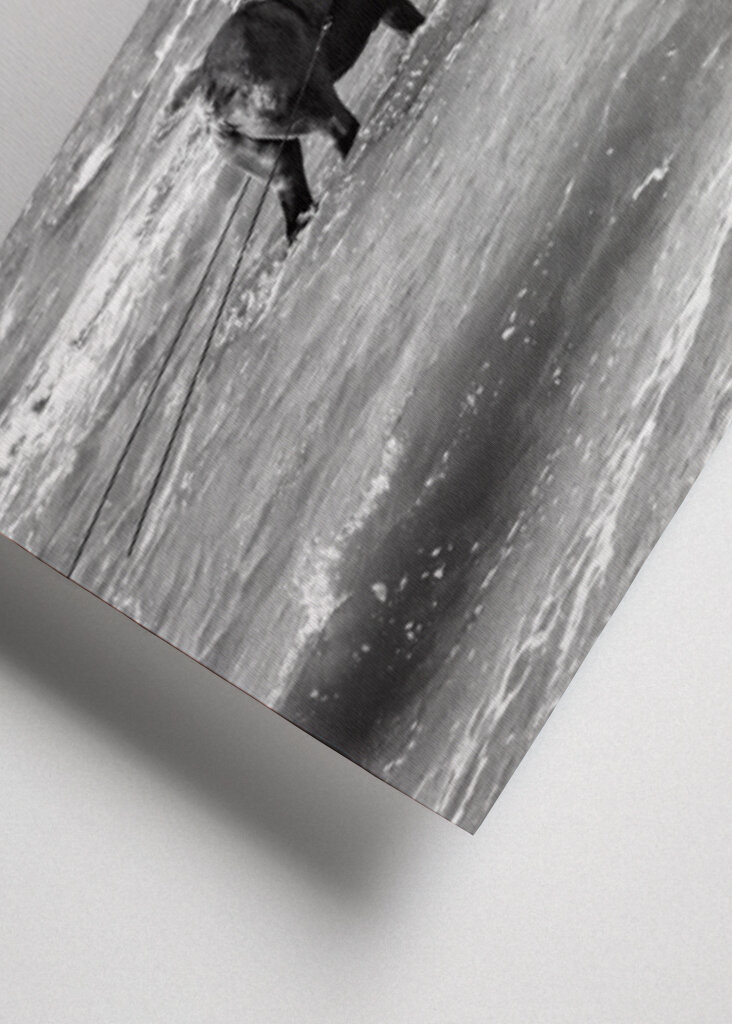 Pescatore di gamberetti a cavallo