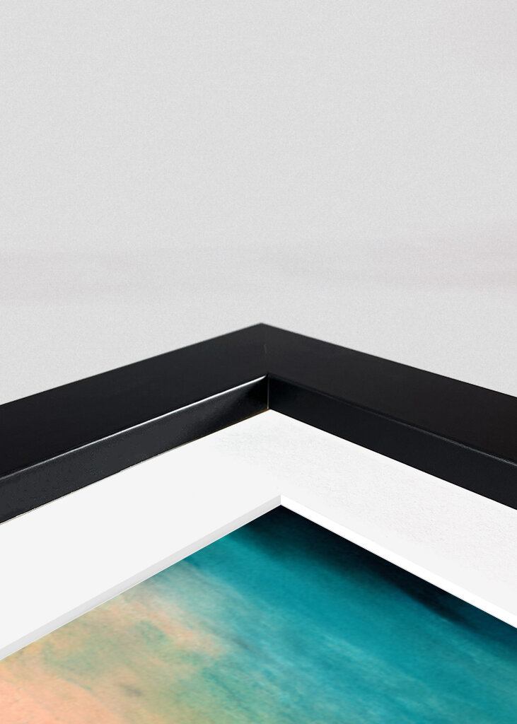 Great Gray Owl Contemplative