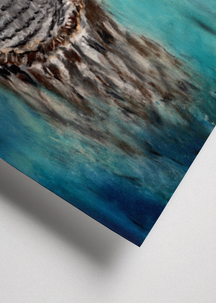 Great Gray Owl Contemplative