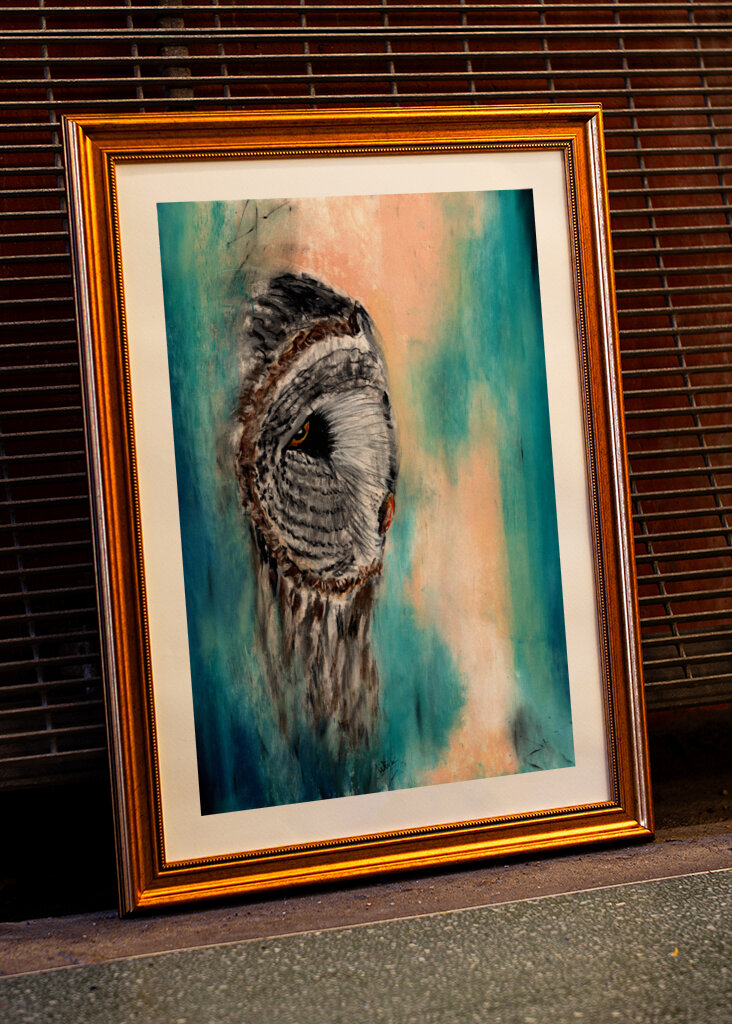 Great Gray Owl Contemplative