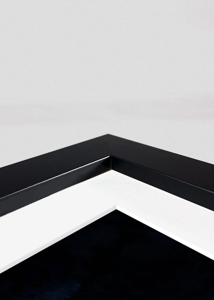 Ciasteczkowy potwór