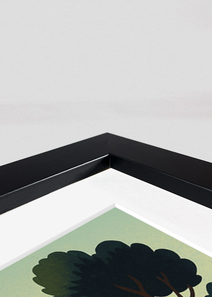 The Shire Lord of the ring