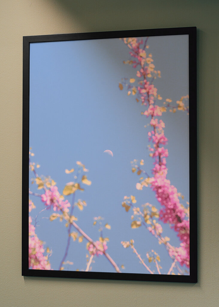 Moon and flowers in Sprintime