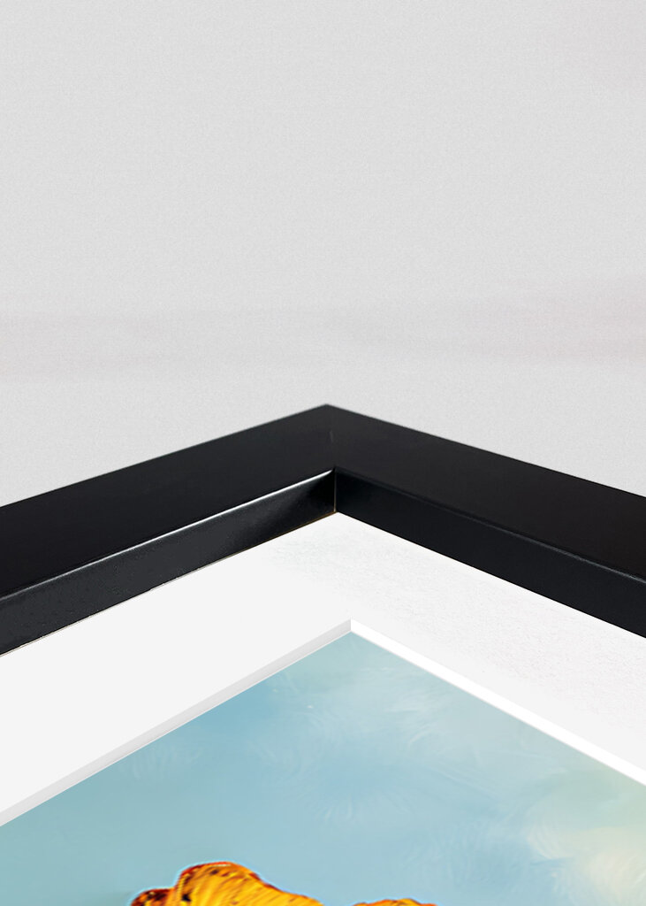 Frogs in Sunflower Bliss