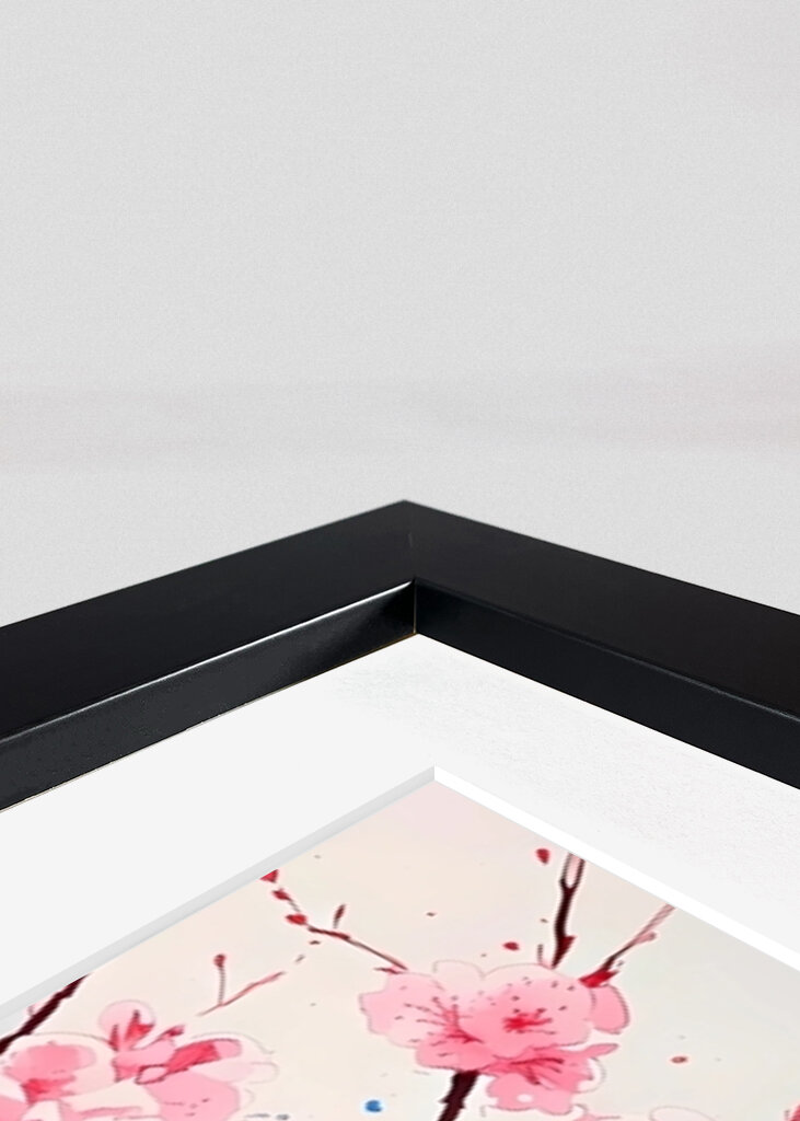 Koi Fish and Cherry Blossoms