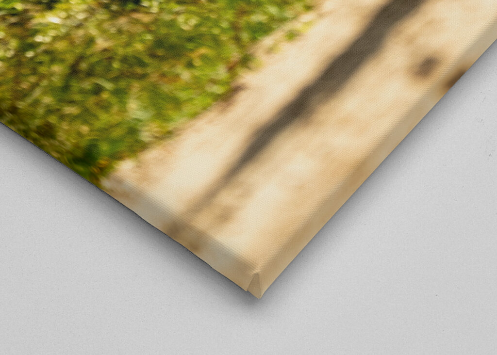 Stående kurve på Østersøen