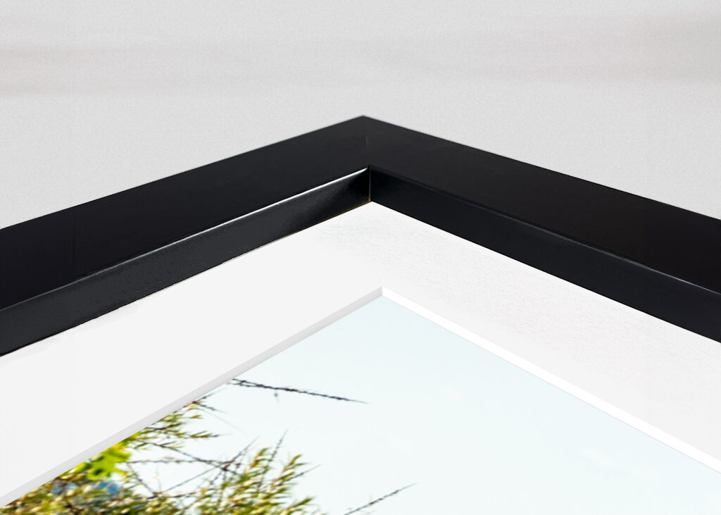 Stående kurve på Østersøen