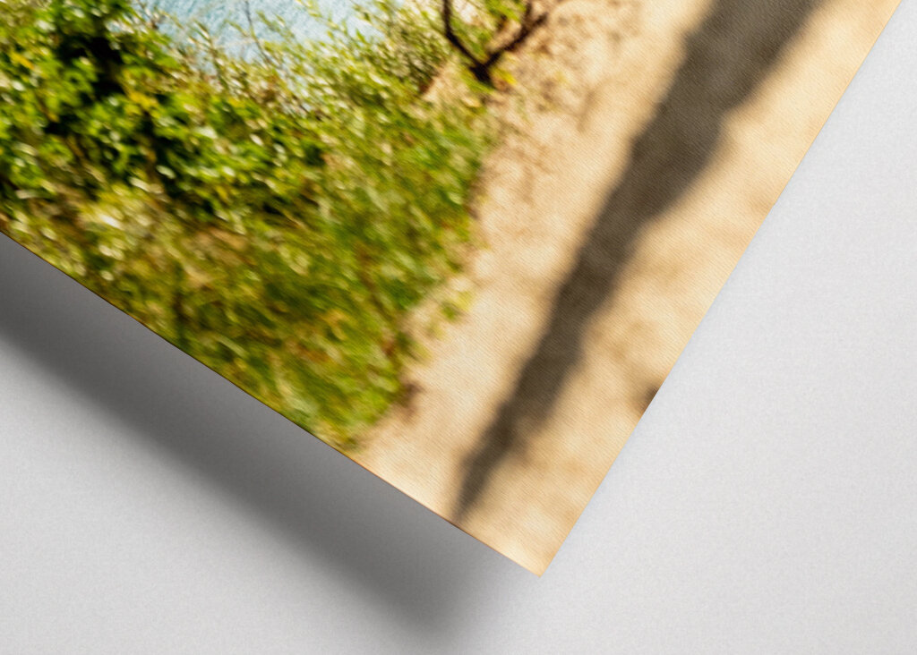 Stående kurve på Østersøen