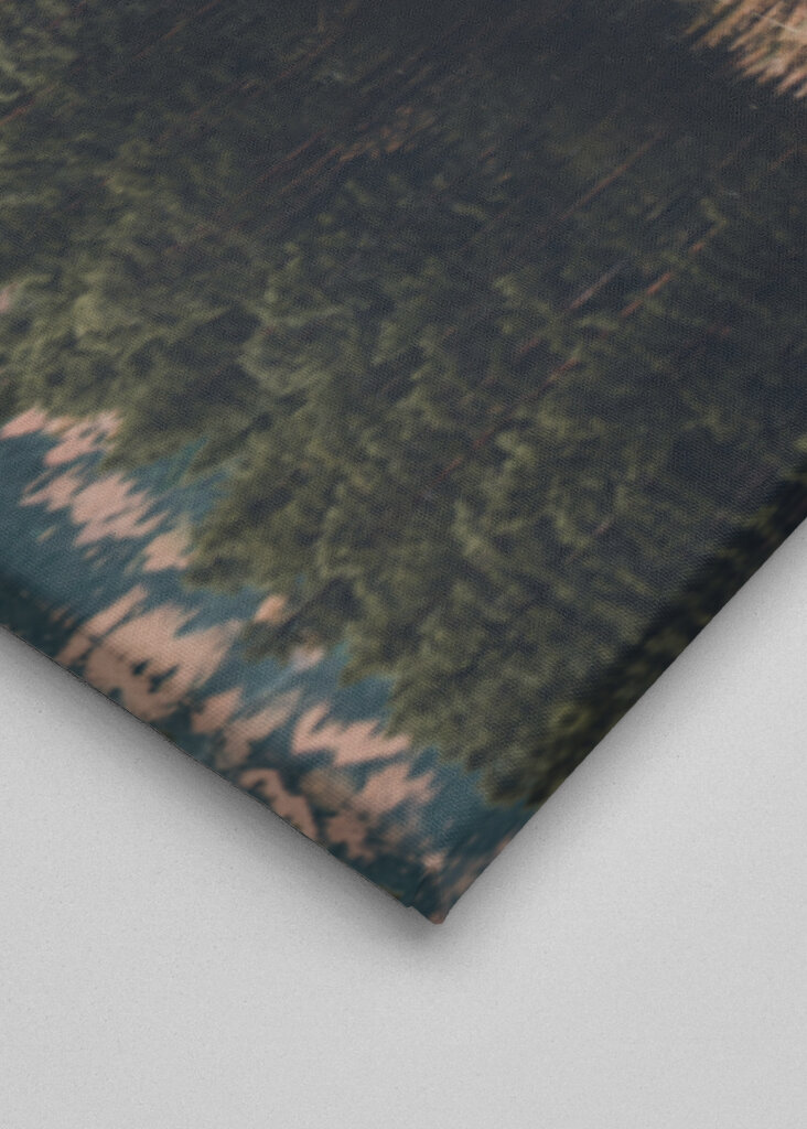 Der Wald der Reflexion