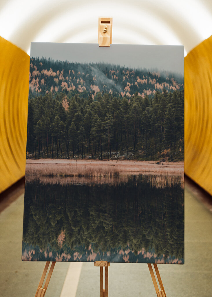 Der Wald der Reflexion