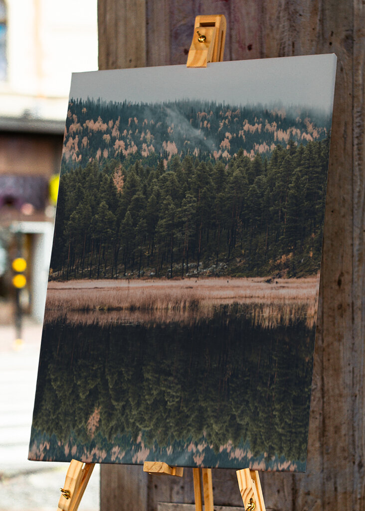 Der Wald der Reflexion