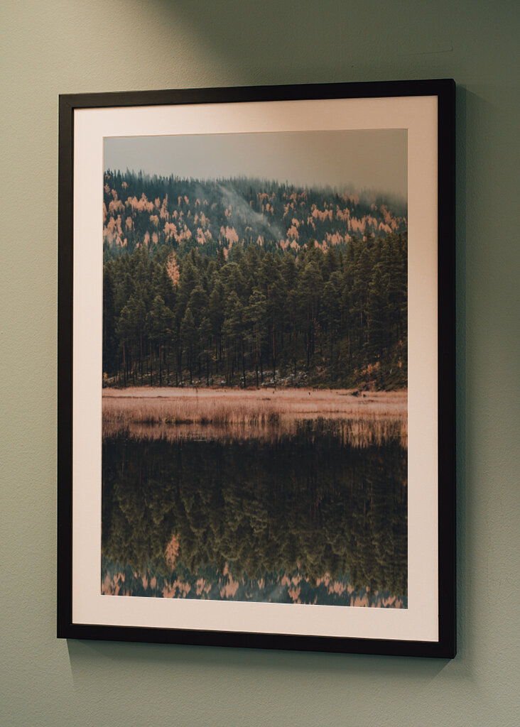 Der Wald der Reflexion