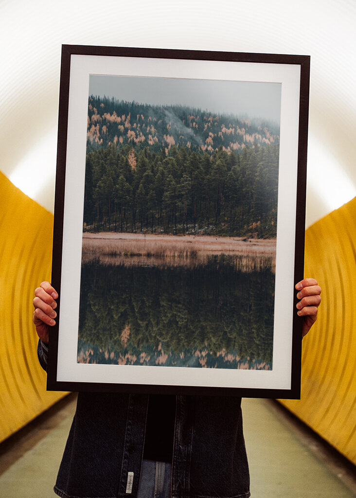 Der Wald der Reflexion