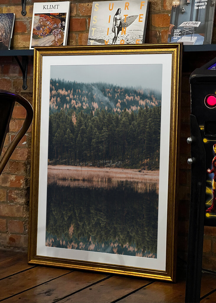 Der Wald der Reflexion