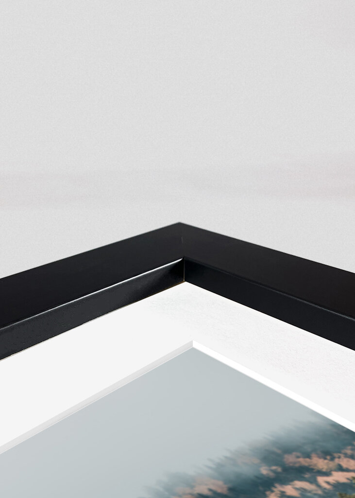 Der Wald der Reflexion