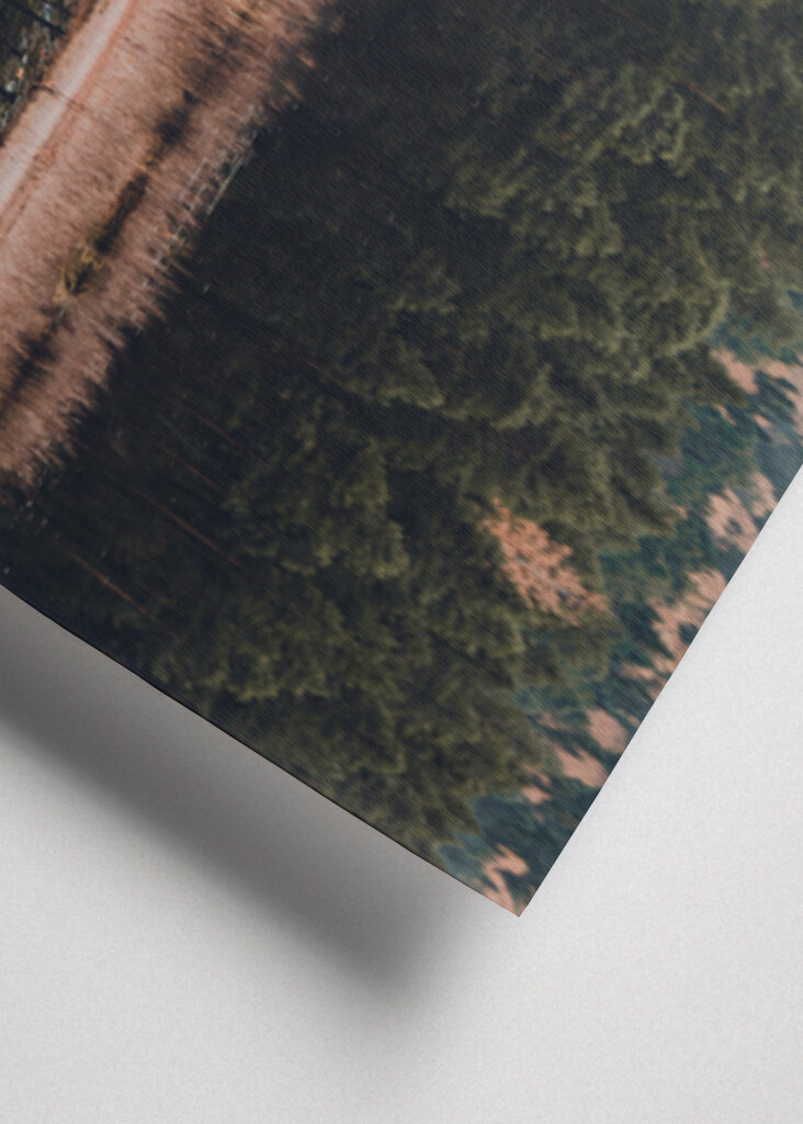 Der Wald der Reflexion