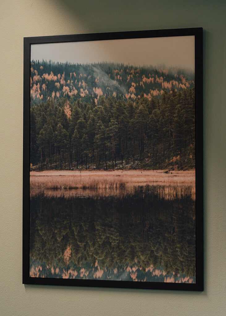 Der Wald der Reflexion