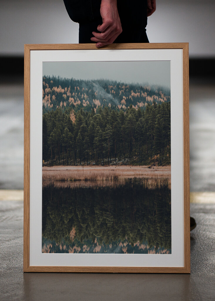 Der Wald der Reflexion