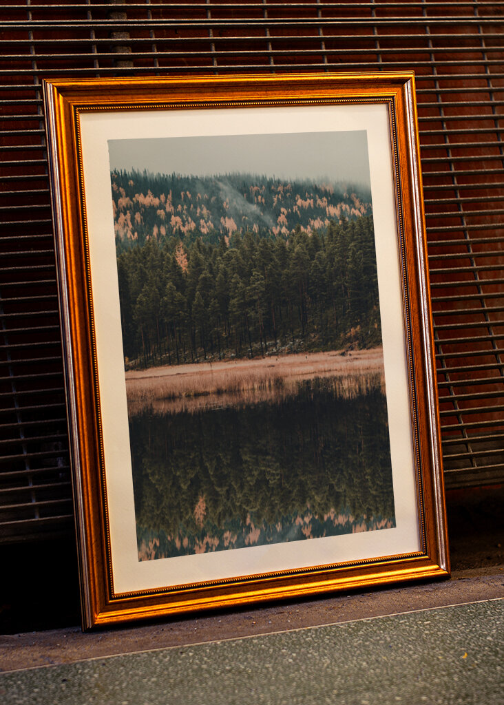 Der Wald der Reflexion