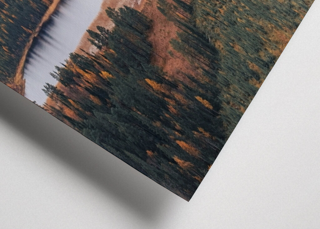 The Road Between Waters