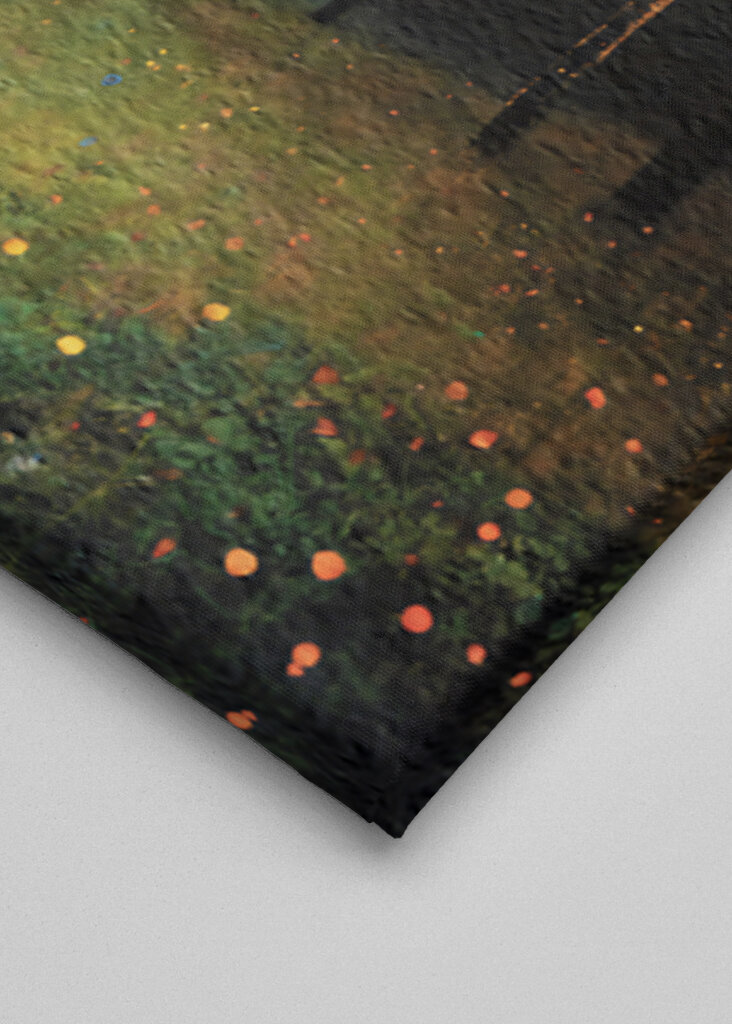 Das Licht der Morgendämmerung