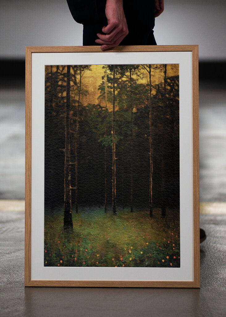 Das Licht der Morgendämmerung