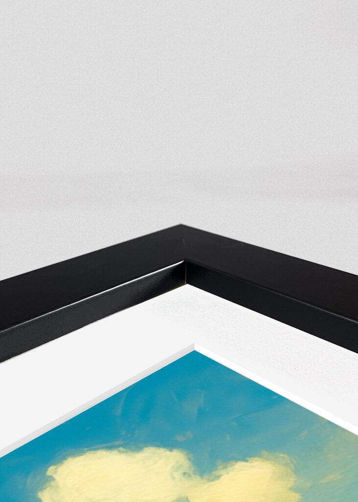 Sogni di tulipani e mulini a vento