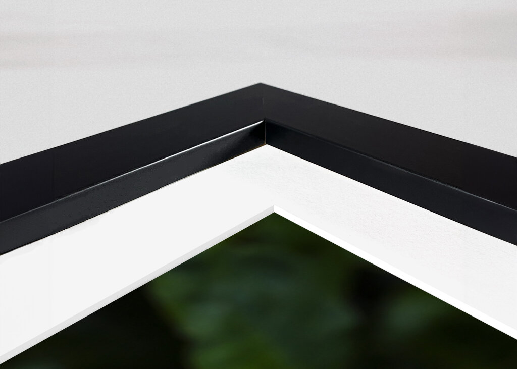 The Peace rose - midsummer