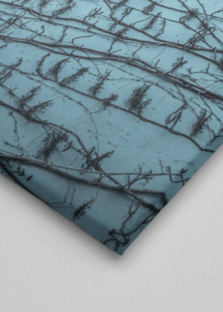 Påskeliljer i vinduet